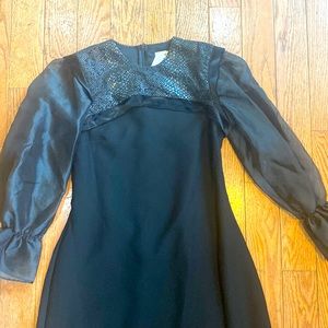 Gorgeous black elegant dress. Chiffon sleeves.